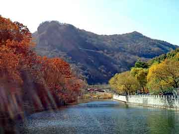 新澳天天开奖资料大全旅游团，座套广告